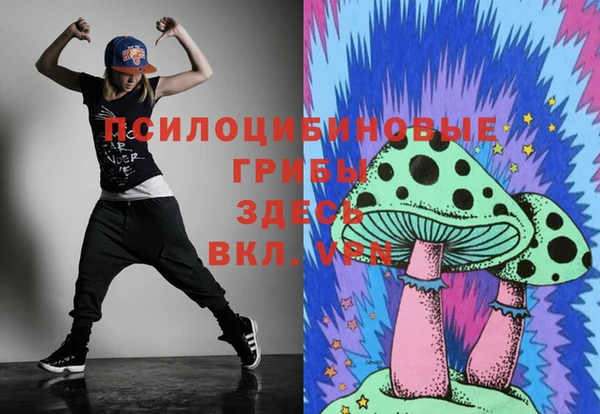 apvp Абинск