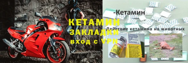 сатива Володарск