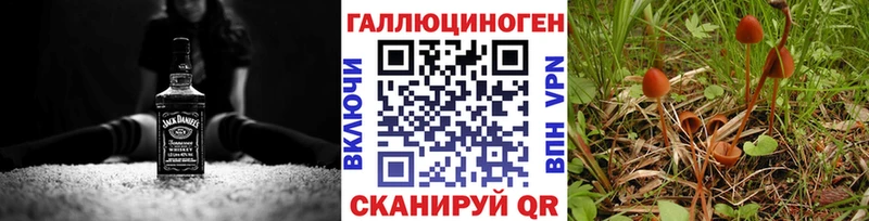 наркошоп  kraken онион  Псилоцибиновые грибы GOLDEN TEACHER  Новопавловск 